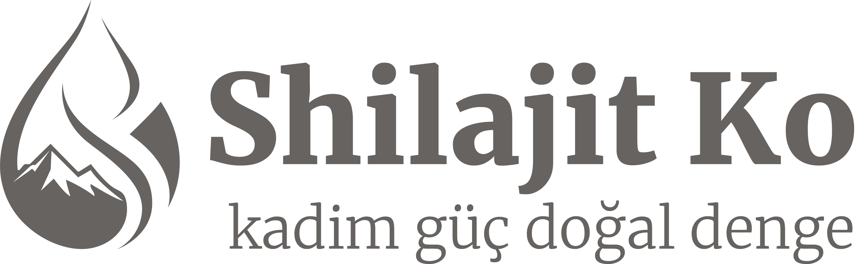 ShilajitKO logo